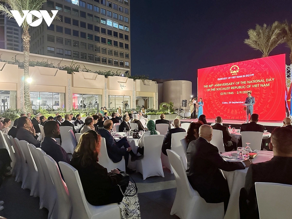 vietnam s 80th national day celebrated in cairo, egypt picture 1