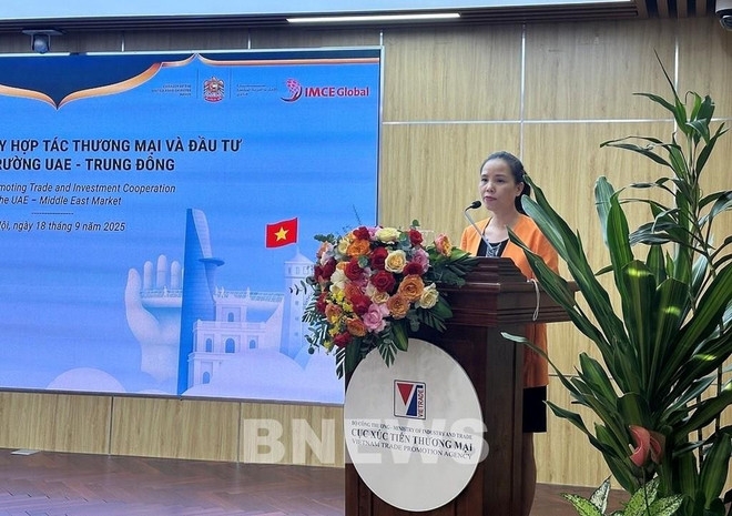workshop seeks to boost vietnam uae trade, investment ties picture 1
