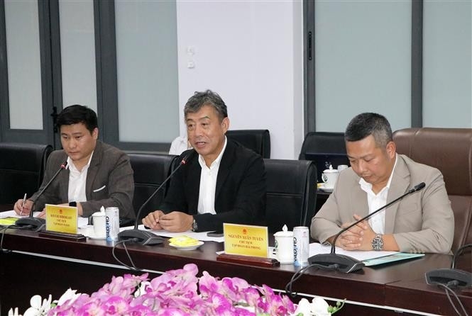 japanese firm eyes biomass power, agro-processing projects in vinh long picture 1 japanese firm eyes biomass power, agro-processing projects in vinh long picture 1