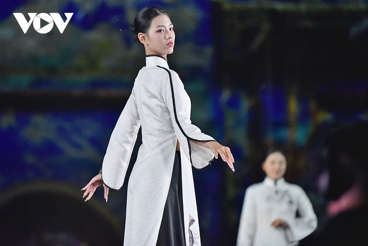 ambassadors spouses elegantly display vietnam s Ao dai heritage picture 13
