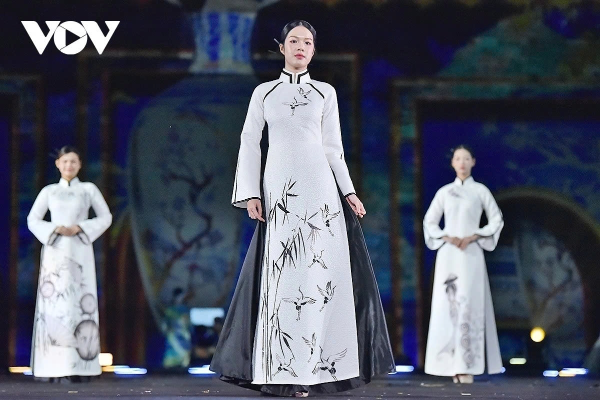 ambassadors spouses elegantly display vietnam s Ao dai heritage picture 14