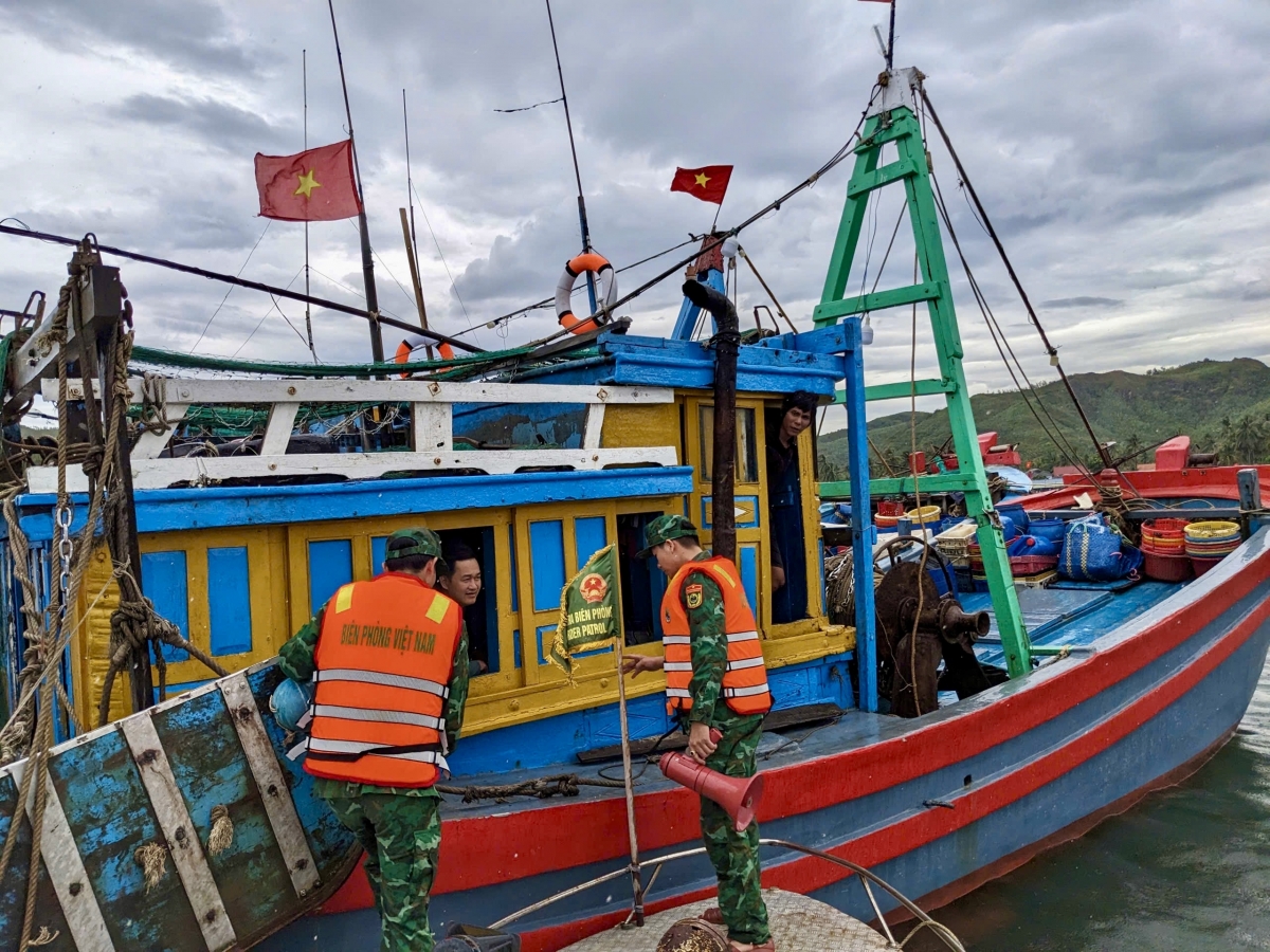 Đắk Lắk chỉ còn 1 tàu chưa lắp đặt giám sát hành trình