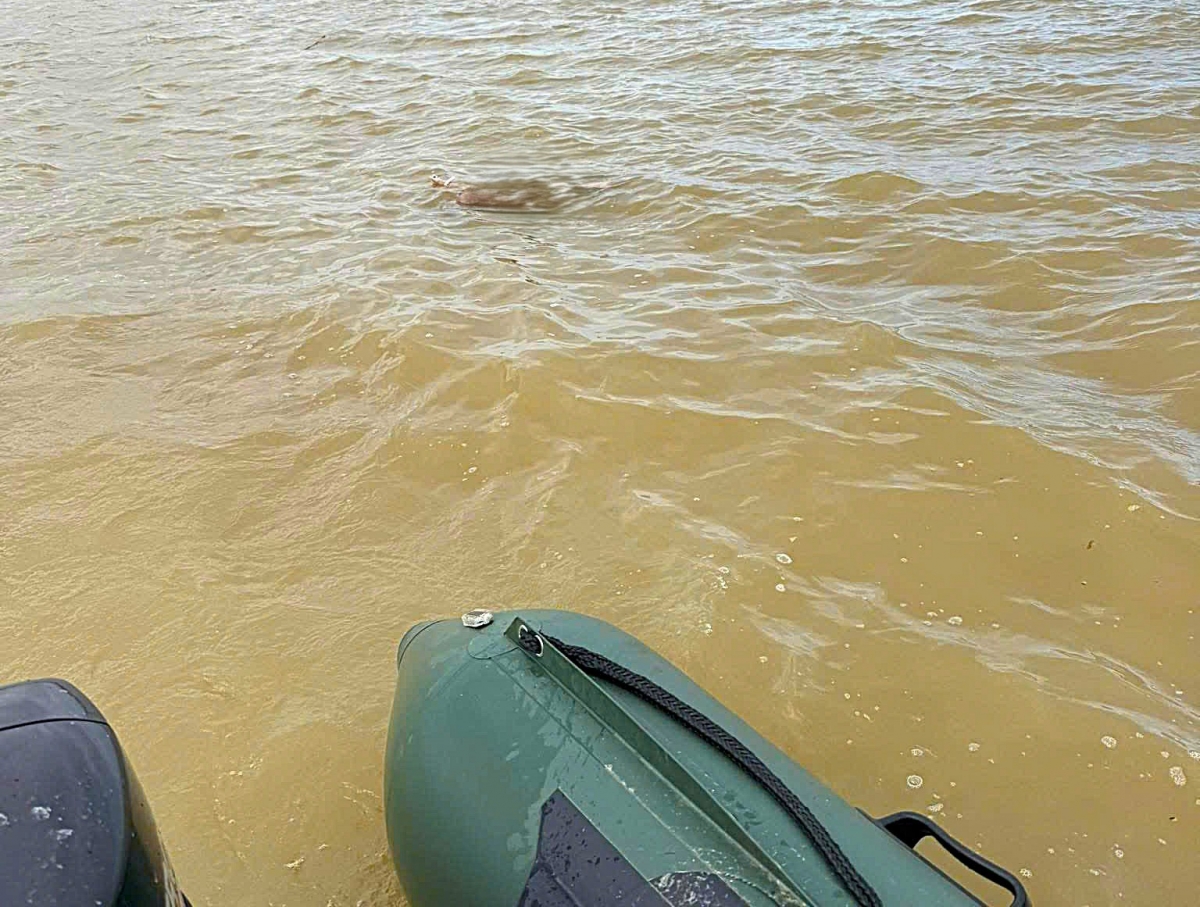 3 bố con mất tích, tìm thấy thi thể 2 bé gái trên sông Lam