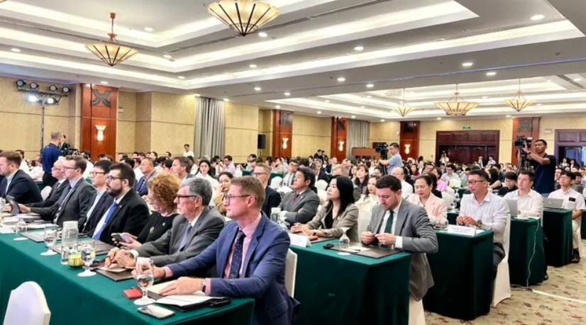 fdi partnership propels ho chi minh city toward mega metropolis picture 1