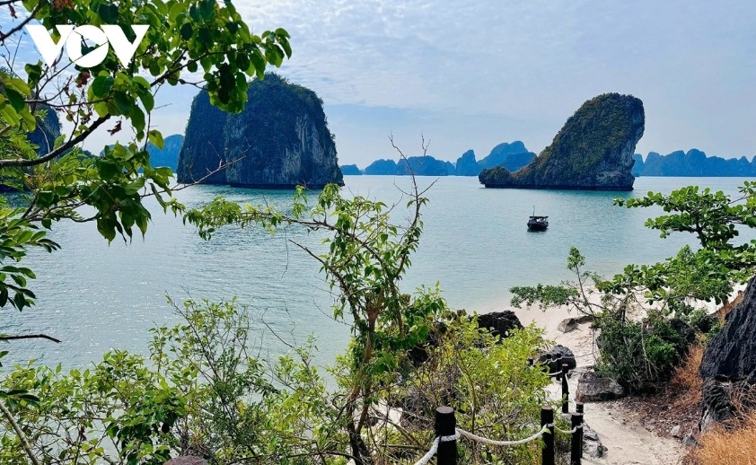 vietnam s beauty offers unforgettable experiences for international visitors picture 1