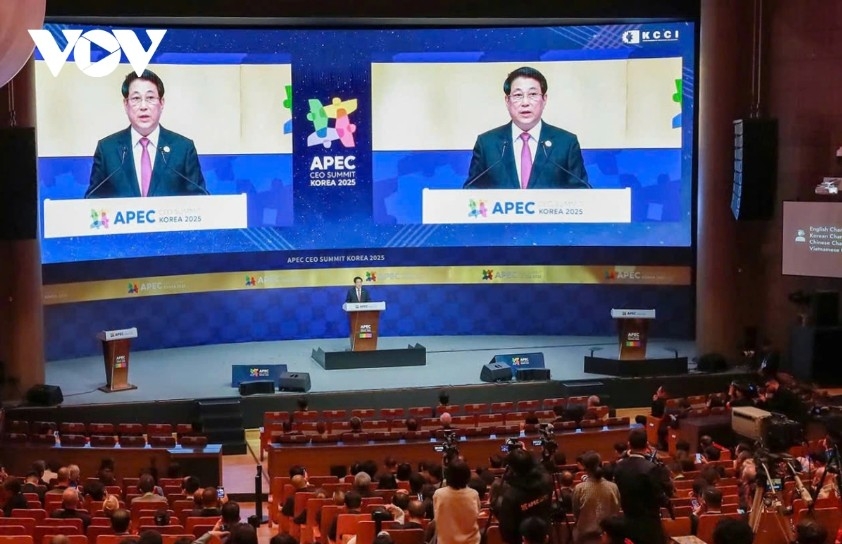 vietnam always welcomes apec businesses, says president luong cuong picture 2 vietnam always welcomes apec businesses, says president luong cuong picture 2