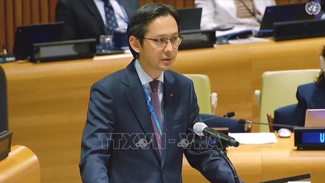 vietnam urges stronger actions for complete elimination of nuclear weapons picture 1