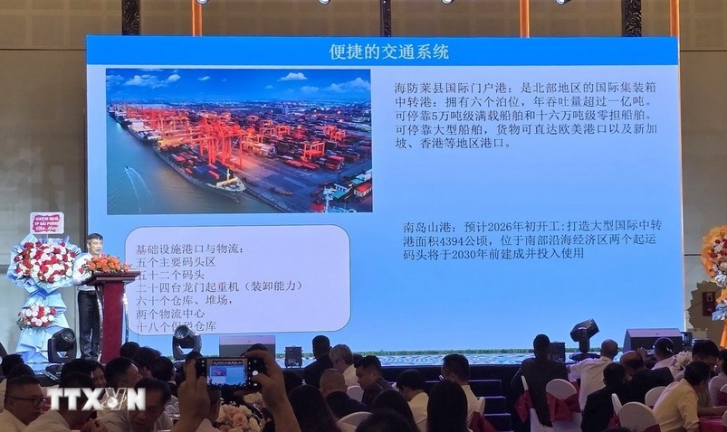 vietnam china friendship exchange fortifies business ties in hai phong picture 1