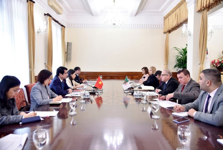 vietnam, algeria hold fourth political consultation picture 1