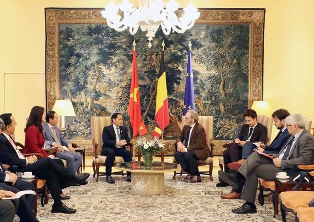 Vietnam, Belgium, EU deepen cooperation across key sectors