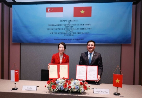 vietnam, singapore sign memorandum of cooperation on rice trade picture 1