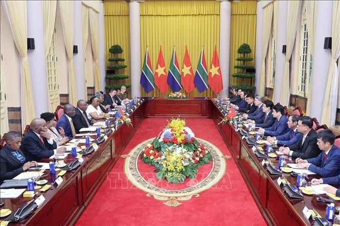 vietnam, south africa issue joint statement picture 1 vietnam, south africa issue joint statement picture 1