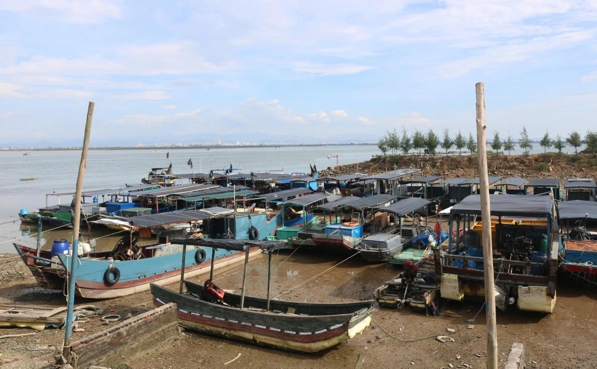 typhoon matmo makes landfall, heavy rain forecast for northern vietnam picture 2