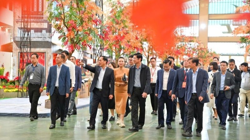 pho thu tuong bui thanh son kiem tra tien do trien khai hoi cho mua thu 2025 hinh anh 1