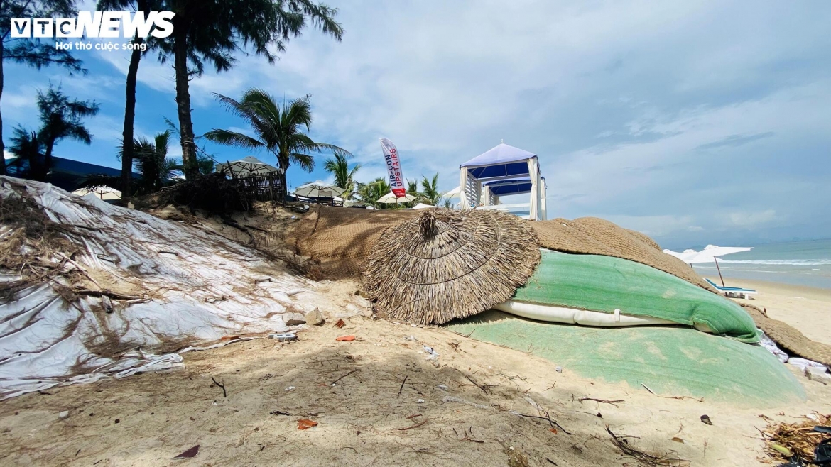 song nuot duong be tong, ngoam bat goc phi lao, cong pha bo bien hoi an hinh anh 1