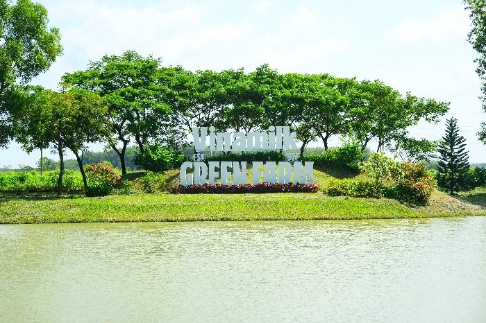 ba mai kieu lien duoc vinh danh top 100 phu nu quyen luc nhat chau A nam 2025 hinh anh 2
