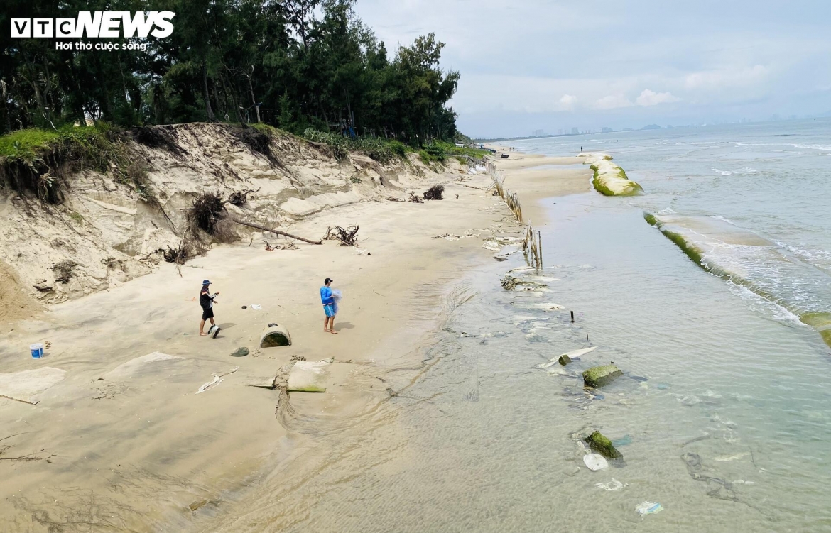 song nuot duong be tong, ngoam bat goc phi lao, cong pha bo bien hoi an hinh anh 2