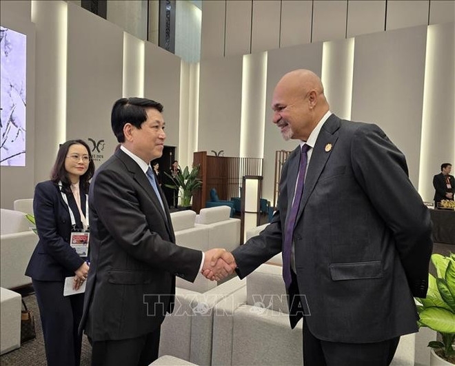 state president meets apec leaders in rok picture 2