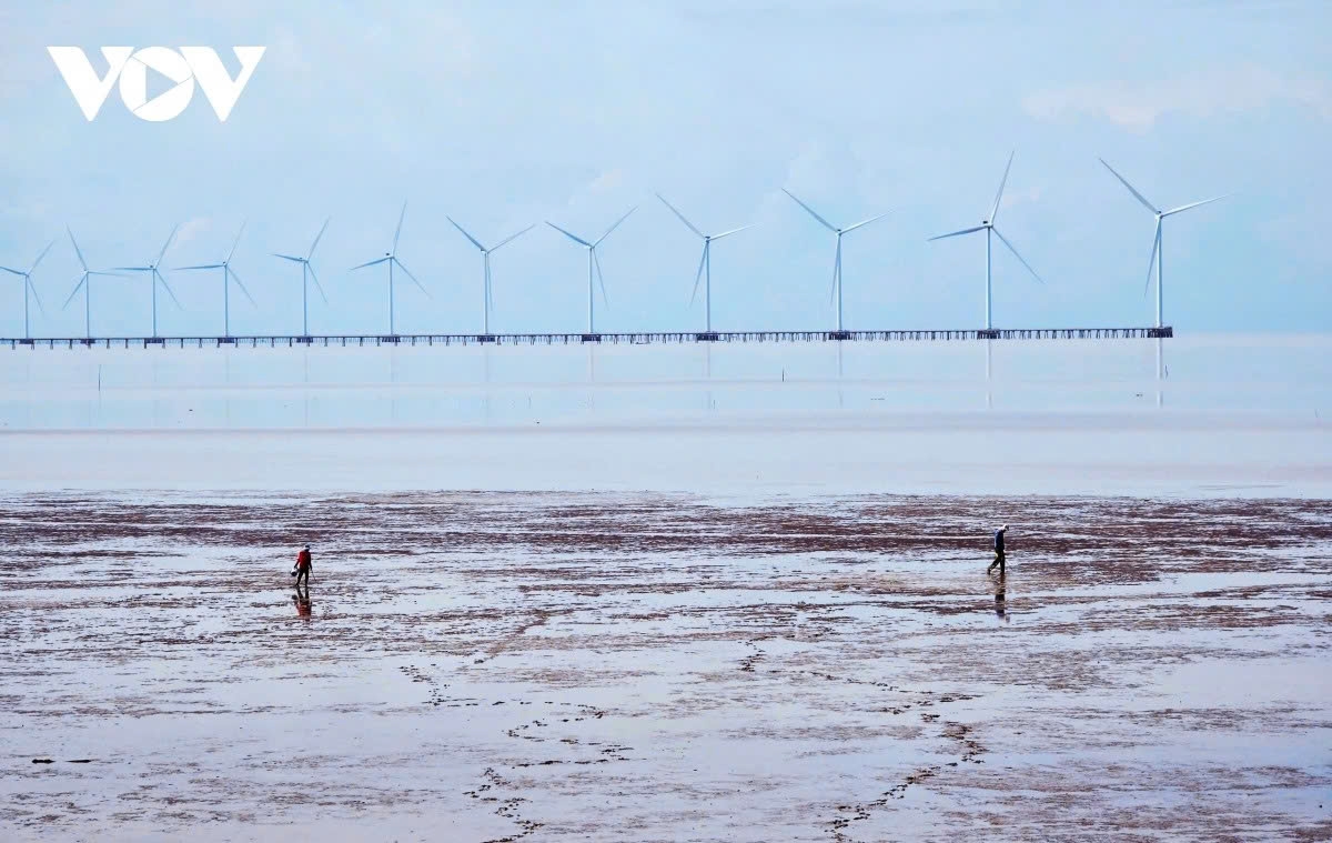 discovering the beauty of ca mau cape-the southernmost point of vietnam picture 12 discovering the beauty of ca mau cape-the southernmost point of vietnam picture 12