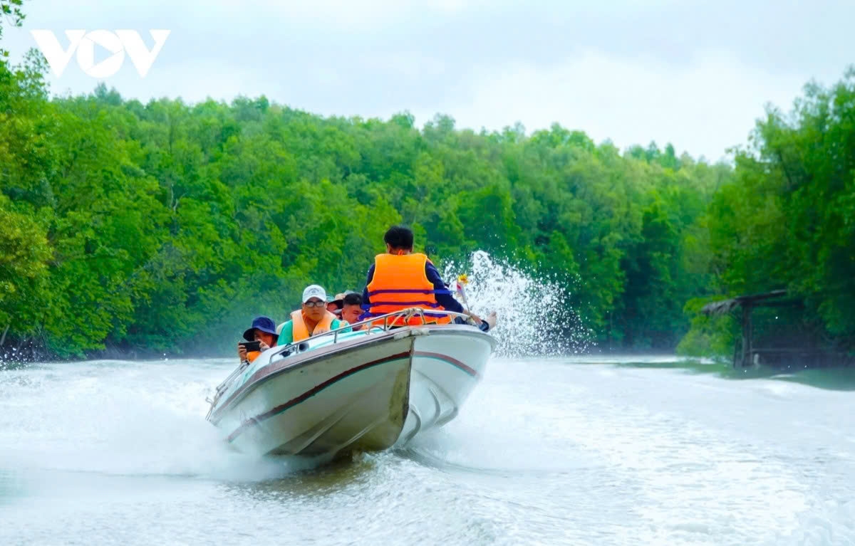 discovering the beauty of ca mau cape-the southernmost point of vietnam picture 4 discovering the beauty of ca mau cape-the southernmost point of vietnam picture 4