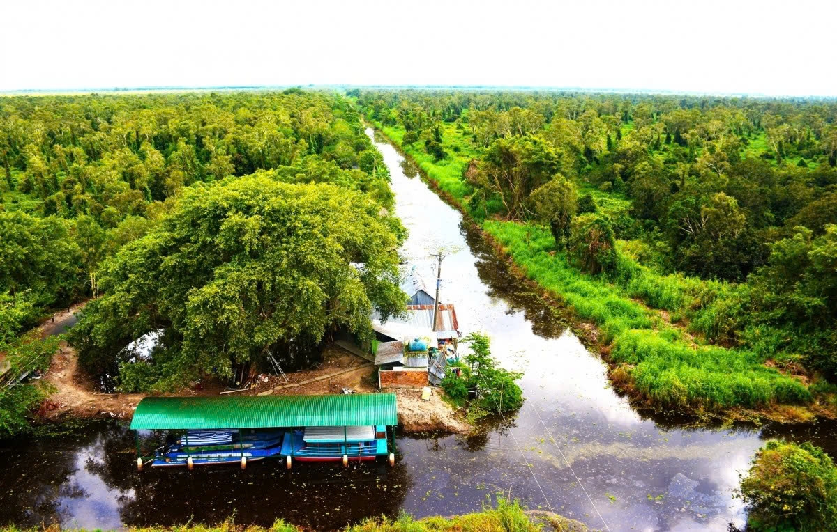 discovering the beauty of ca mau cape-the southernmost point of vietnam picture 5 discovering the beauty of ca mau cape-the southernmost point of vietnam picture 5