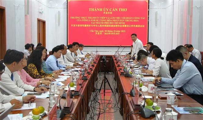 can tho prioritises cooperation with chinese partners city leader picture 1