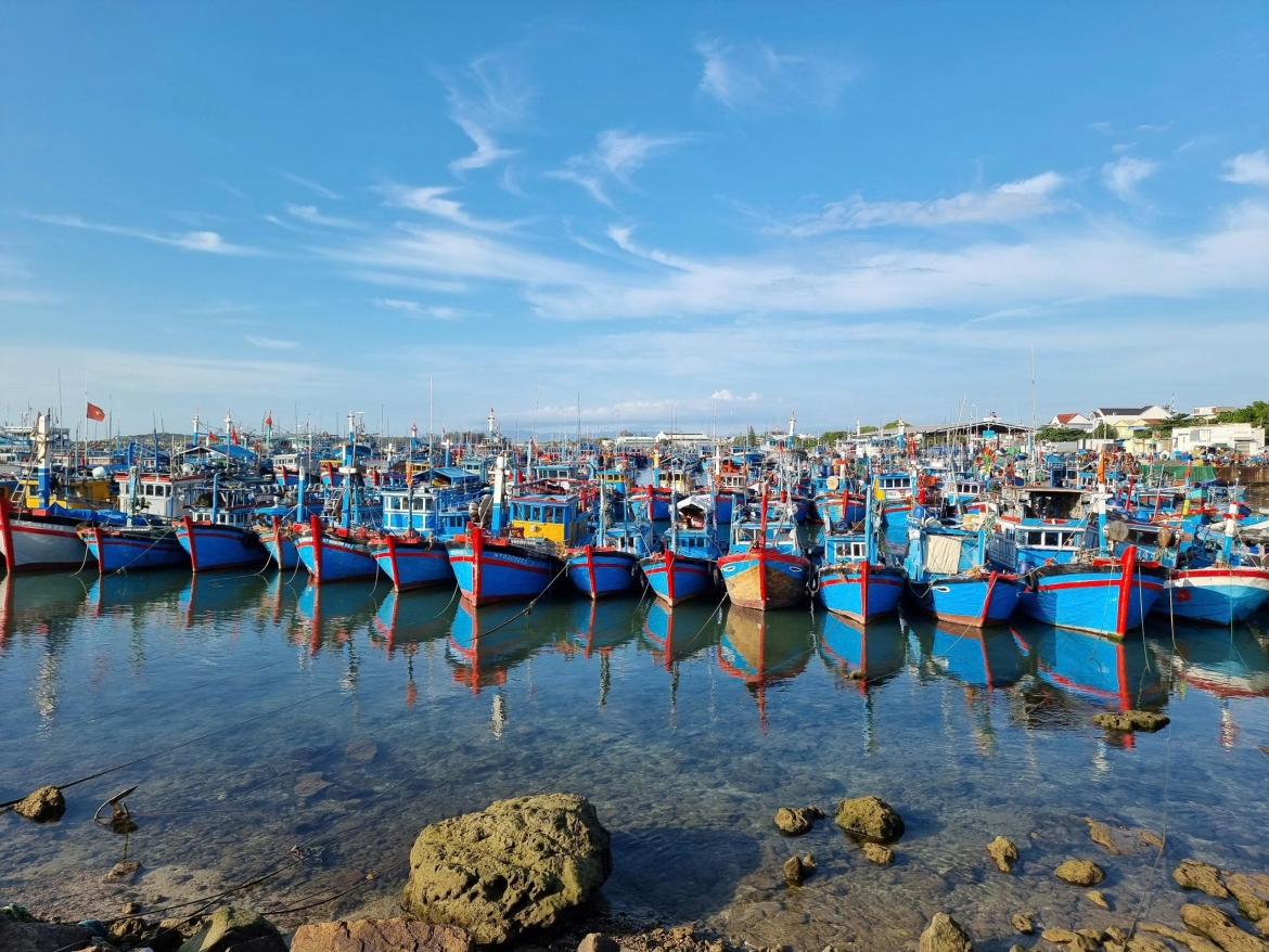 ra khoi dung luat, cap ben du so, khanh hoa quyet liet go the vang ec hinh anh 3
