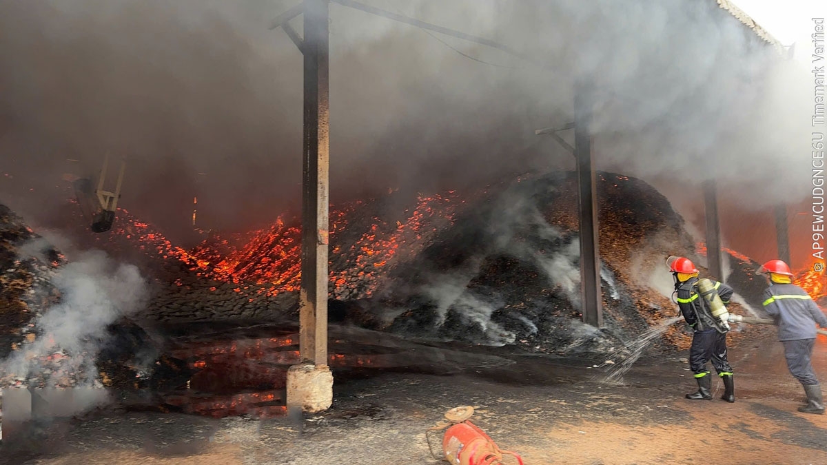 Khống chế đám cháy, "giải cứu" hơn 200 tấn nguyên liệu ở xưởng mùn cưa tại TPHCM
