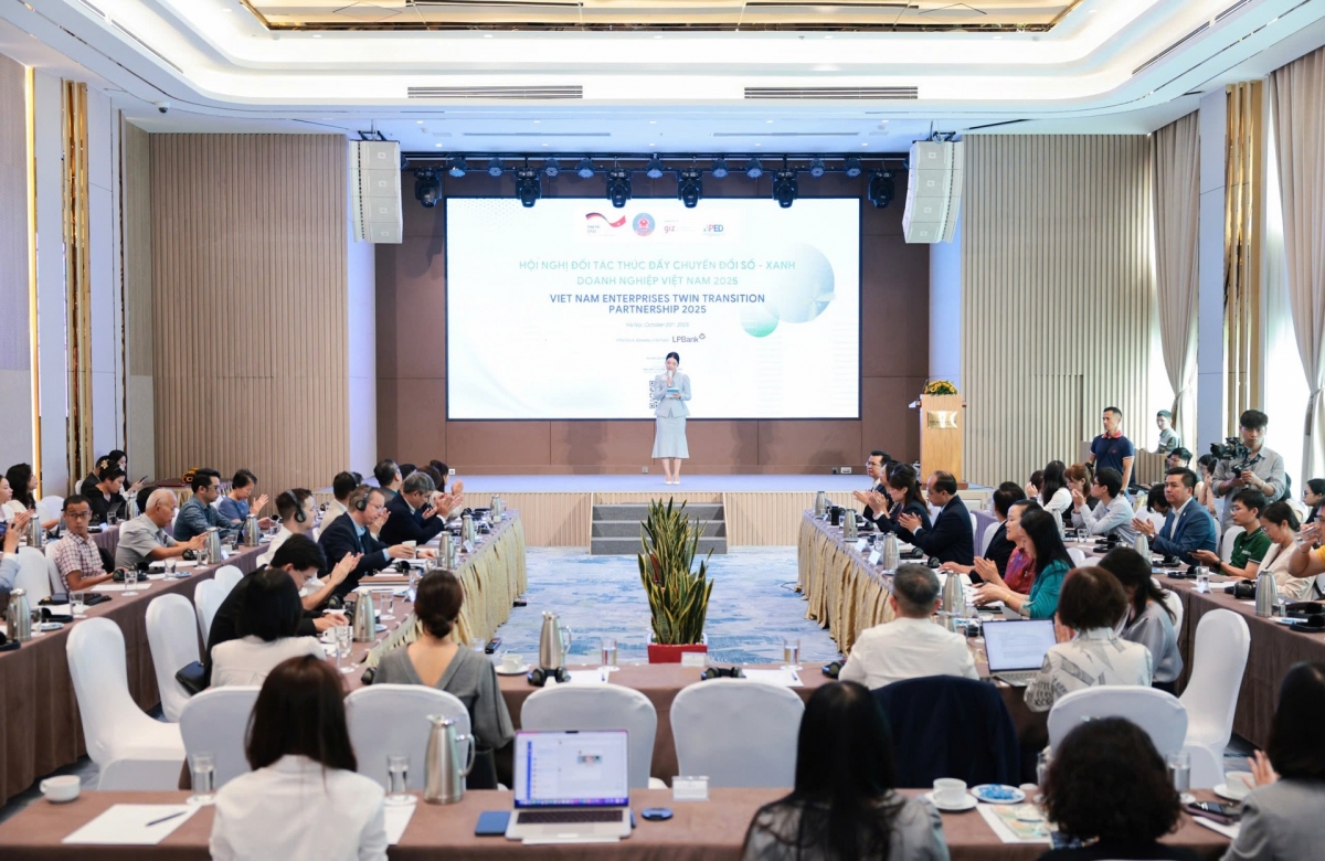 experts warn vietnamese enterprises lag in dual transformation efforts picture 1 experts warn vietnamese enterprises lag in dual transformation efforts picture 1