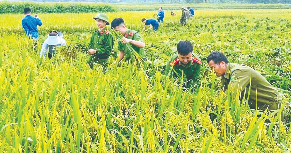 hung yen phat trien kinh te - xa hoi gan voi tang cuong quoc phong, an ninh hinh anh 1