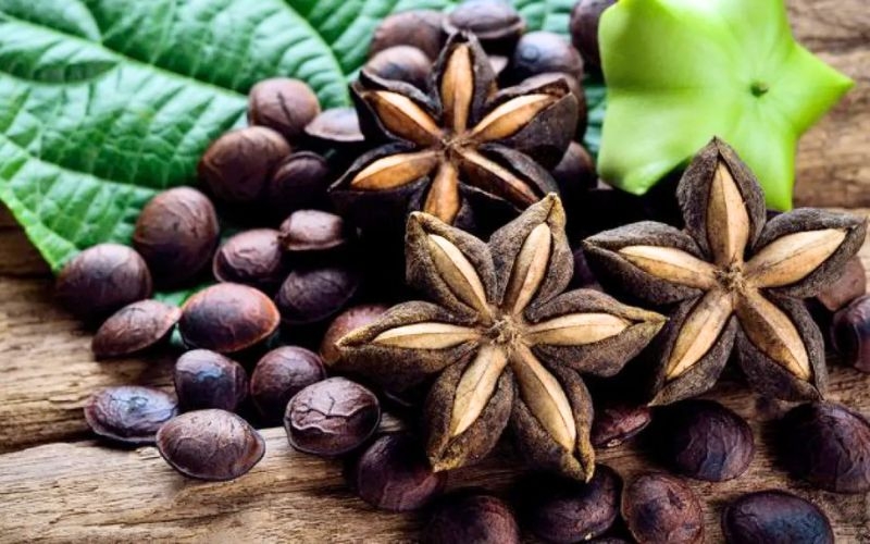 Loại hạt ít ai biết ở Việt Nam lại có giá siêu đắt đỏ