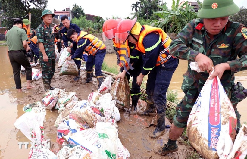 Protecting dykes – a must in disaster response