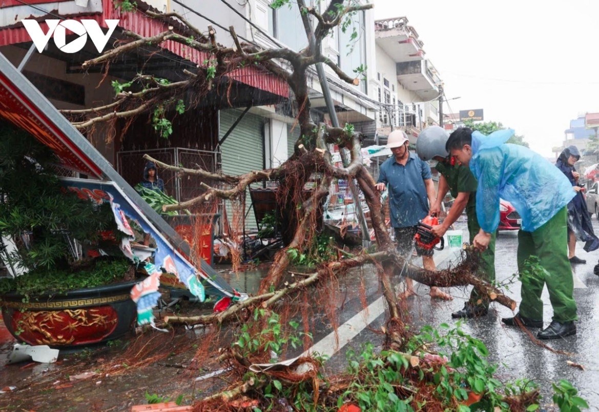 localities step up recovery efforts in the wake of typhoon bualoi picture 8