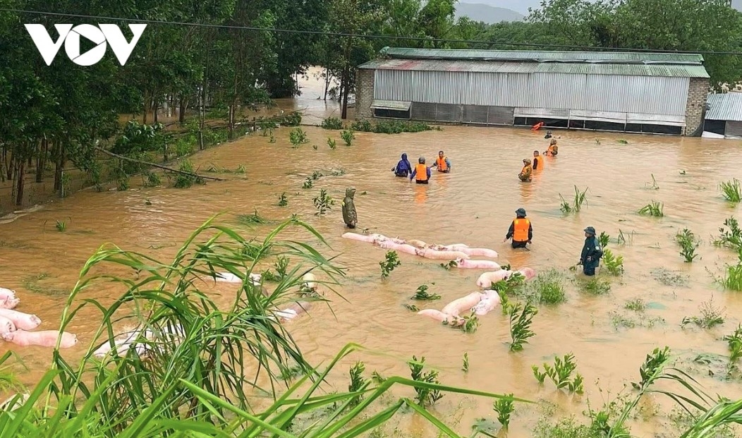 localities step up recovery efforts in the wake of typhoon bualoi picture 9
