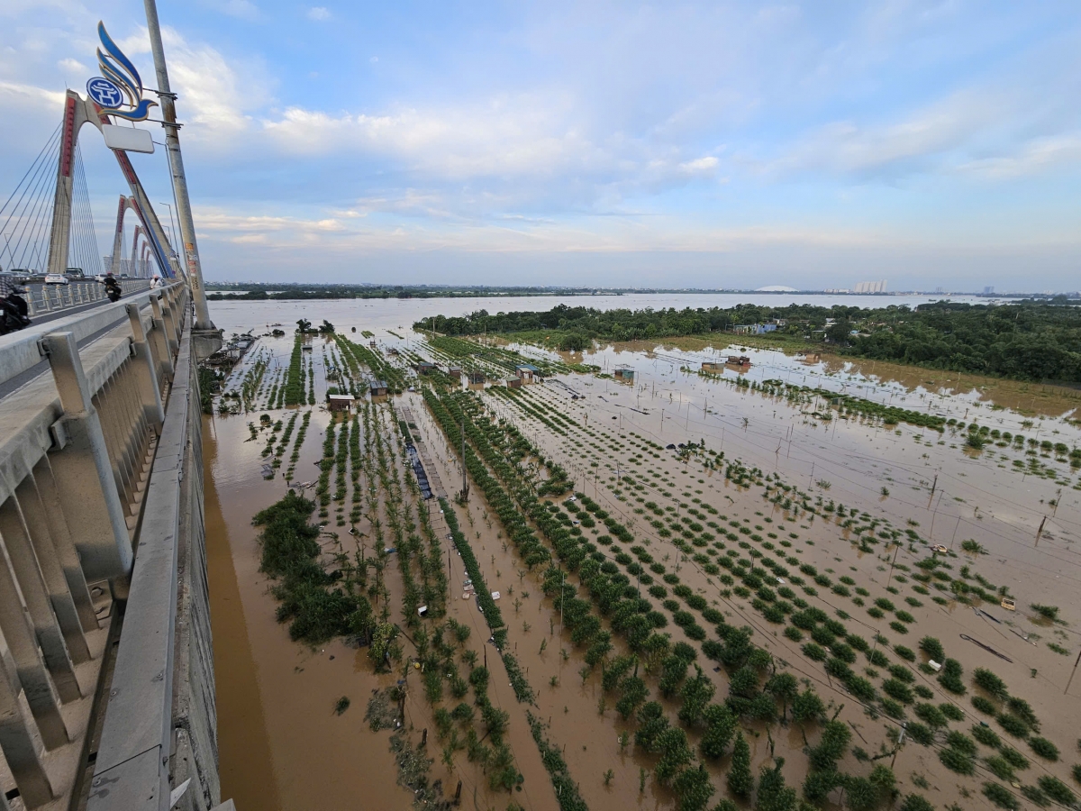 Nước sông lên nhanh, người dân ven sông ở Hà Nội chật vật chạy lũ