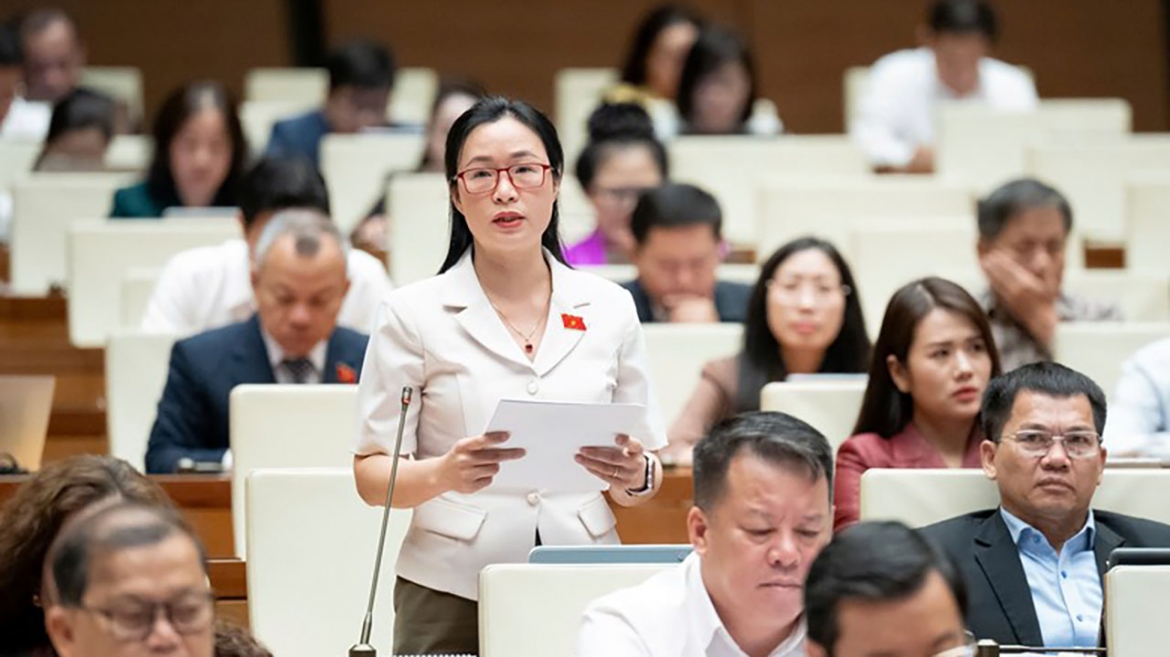 luat tuong tro tu phap Dam bao quyen khong bi tra tan, buc cung... hinh anh 2