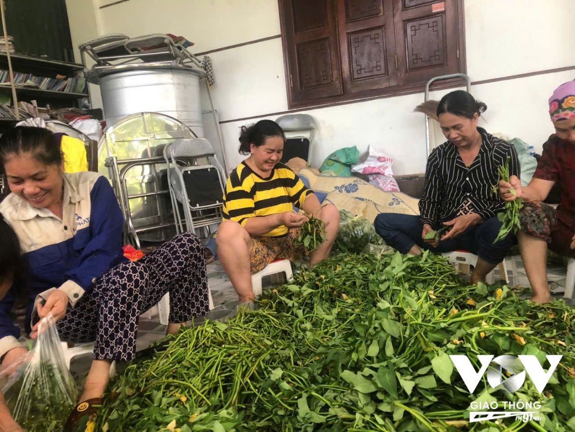 nhung mo rau tiep suc dong bao vung lu lut hinh anh 2