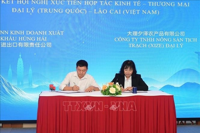 lao cai, china s dali step up economic, trade cooperation picture 1 lao cai, china s dali step up economic, trade cooperation picture 1
