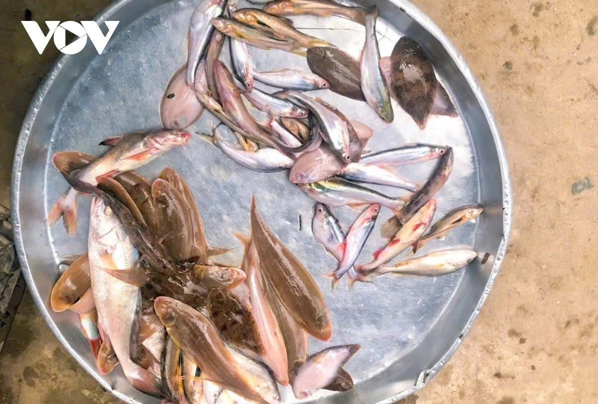 the life of fisherfolk during the floating season in the mekong delta picture 12
