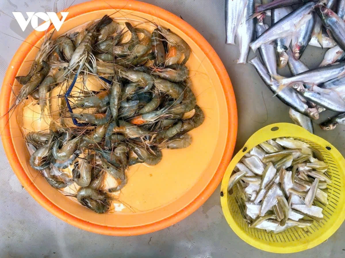 the life of fisherfolk during the floating season in the mekong delta picture 13