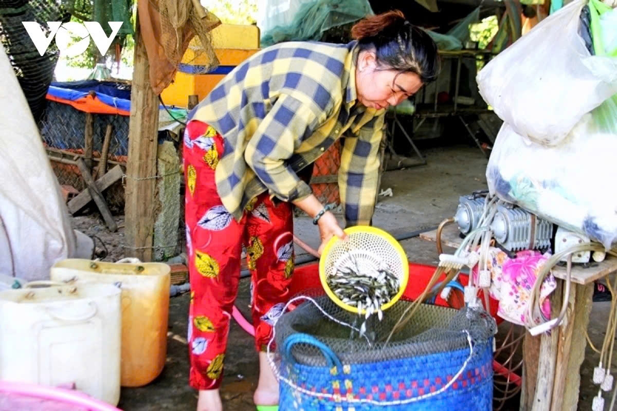 the life of fisherfolk during the floating season in the mekong delta picture 14