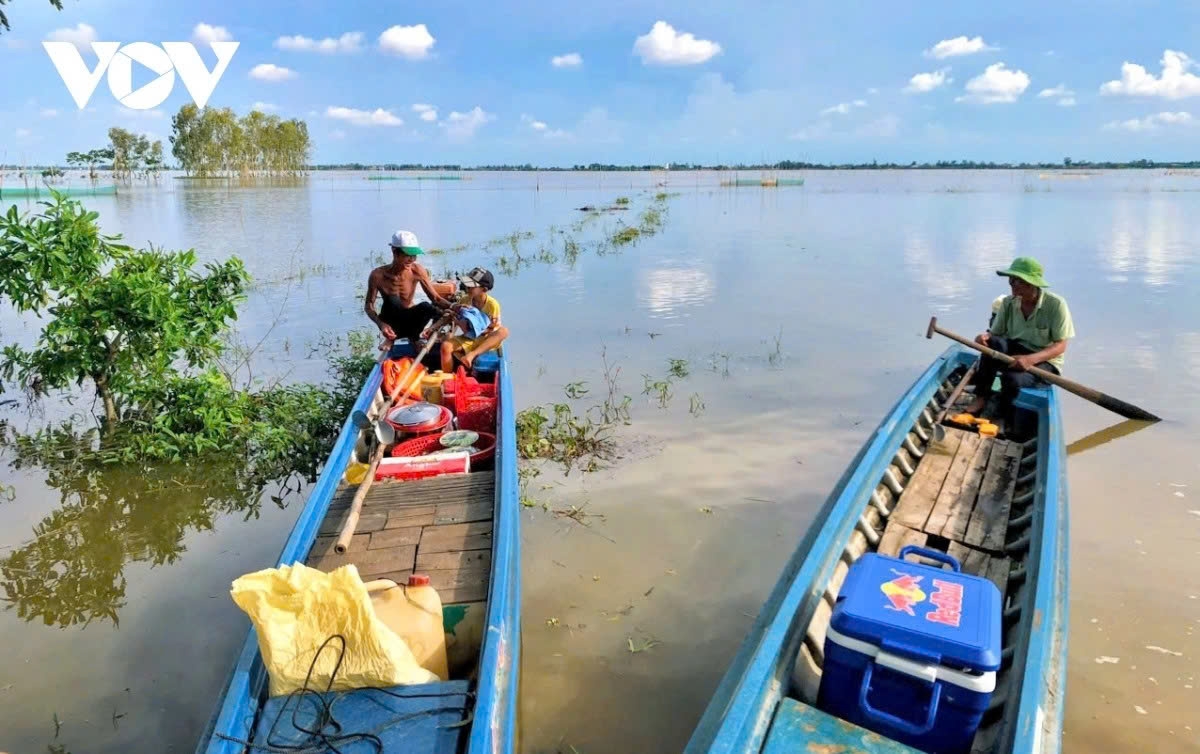 the life of fisherfolk during the floating season in the mekong delta picture 3