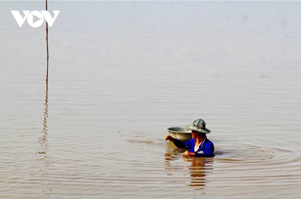 the life of fisherfolk during the floating season in the mekong delta picture 4