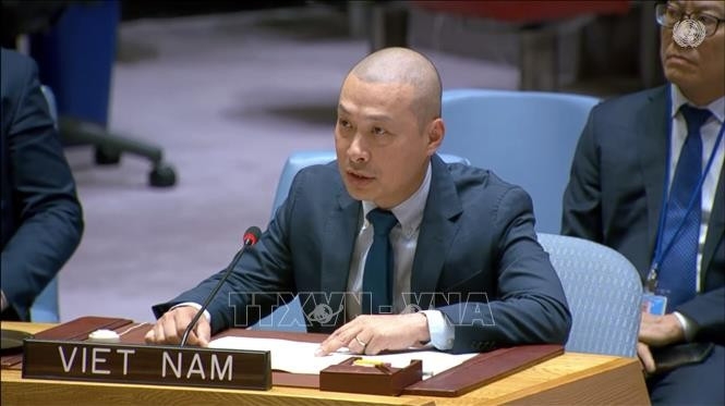 vietnam calls for timely, unimpeded delivery of humanitarian aid to people in gaza picture 1