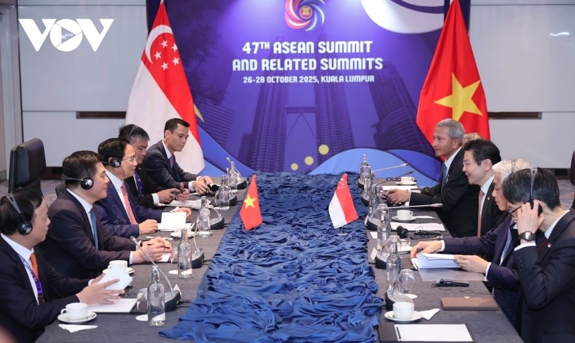 vietnamese, singaporean government leaders hold second annual meeting picture 2 vietnamese, singaporean government leaders hold second annual meeting picture 2