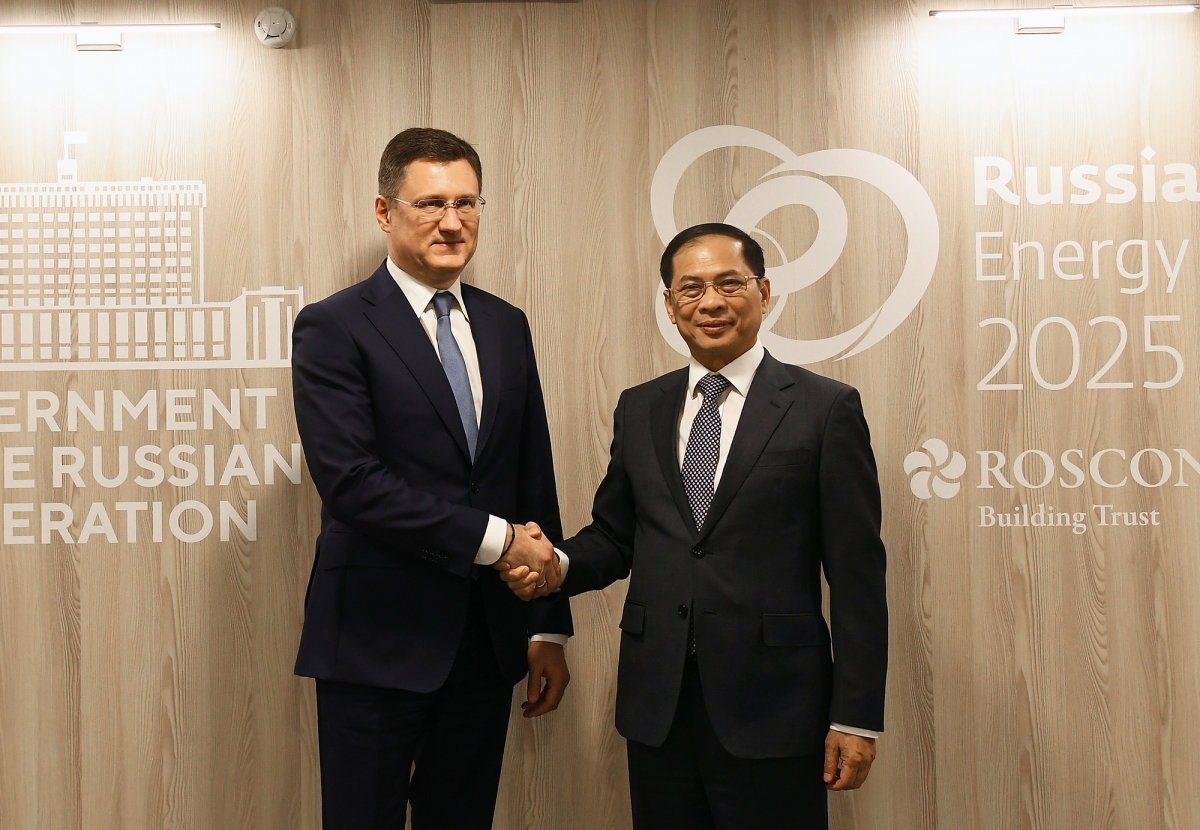 Phó Thủ tướng Bùi Thanh Sơn làm việc với Phó Thủ tướng Nga Aleksandr Novak