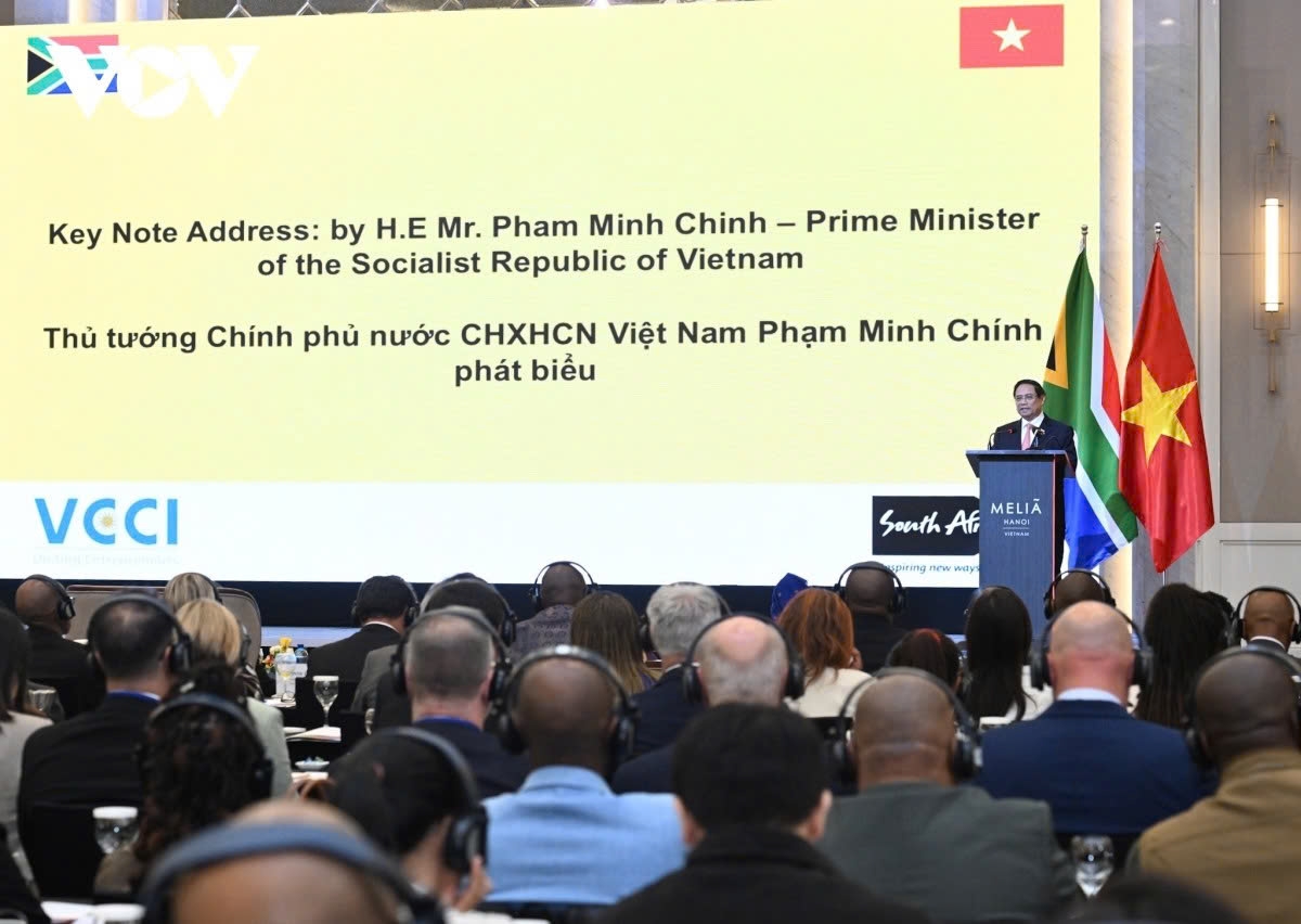 vietnamese pm, south african president attend joint business forum picture 1 vietnamese pm, south african president attend joint business forum picture 1