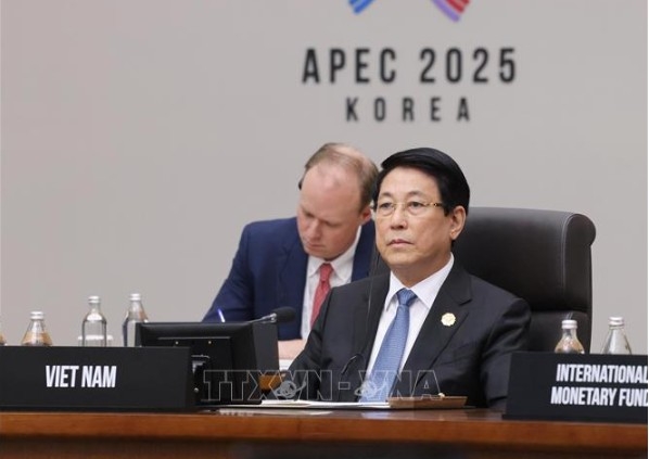 vietnam calls for stronger connectivity and resilience at apec economic leaders meeting picture 2