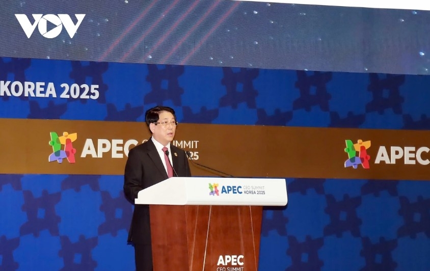 vietnam always welcomes apec businesses, says president luong cuong picture 1 vietnam always welcomes apec businesses, says president luong cuong picture 1