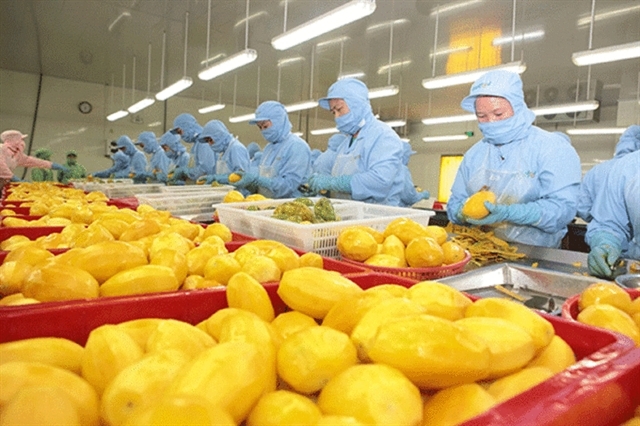 nearly 4,000 codes of vn agricultural products approved to export to china picture 1 nearly 4,000 codes of vn agricultural products approved to export to china picture 1